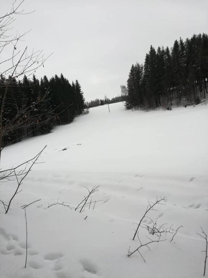 Snezne  Chaloupka U Lisakaヴィラ エクステリア 写真